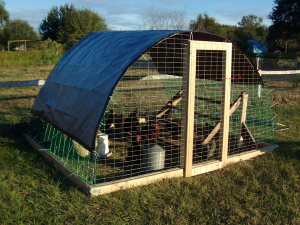 Picture6